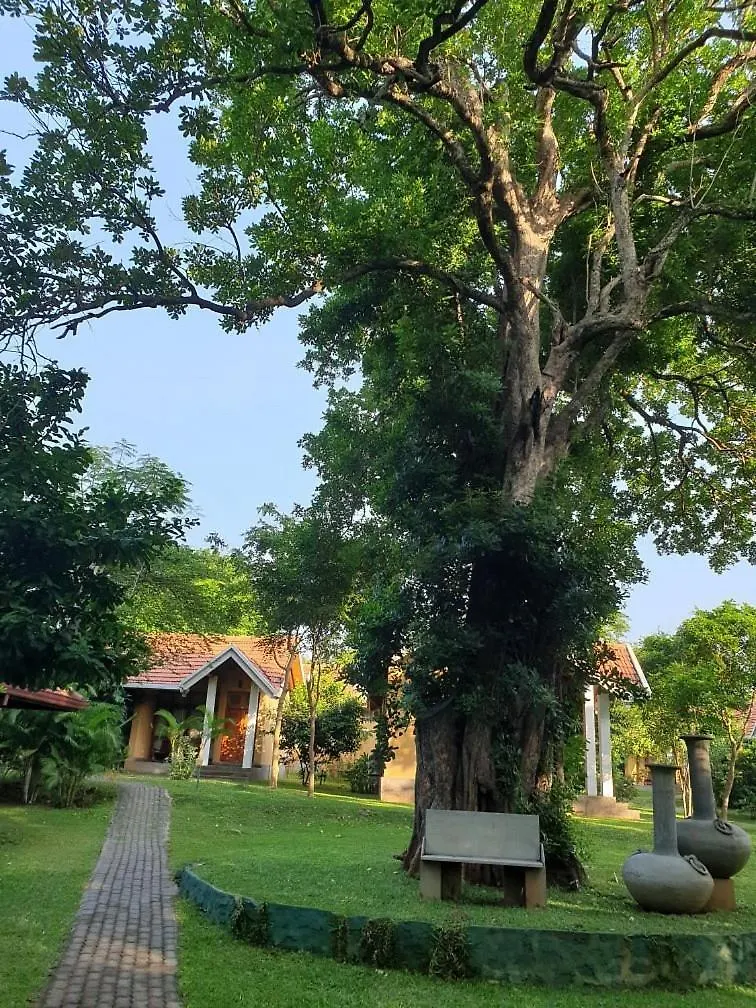 ****  Hotel Kamrel Sigiriya Sri Lanka